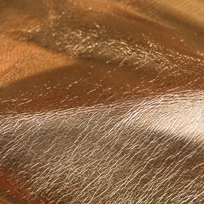 Aligo Group фото