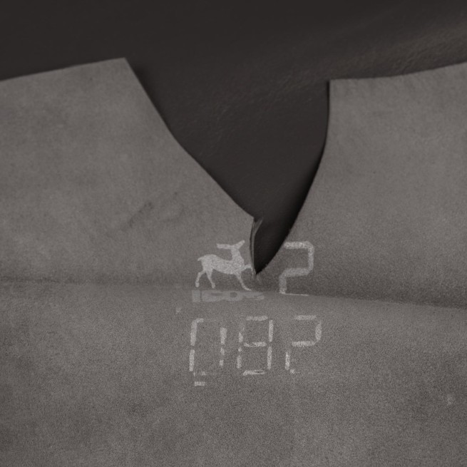 Aligo Group фото