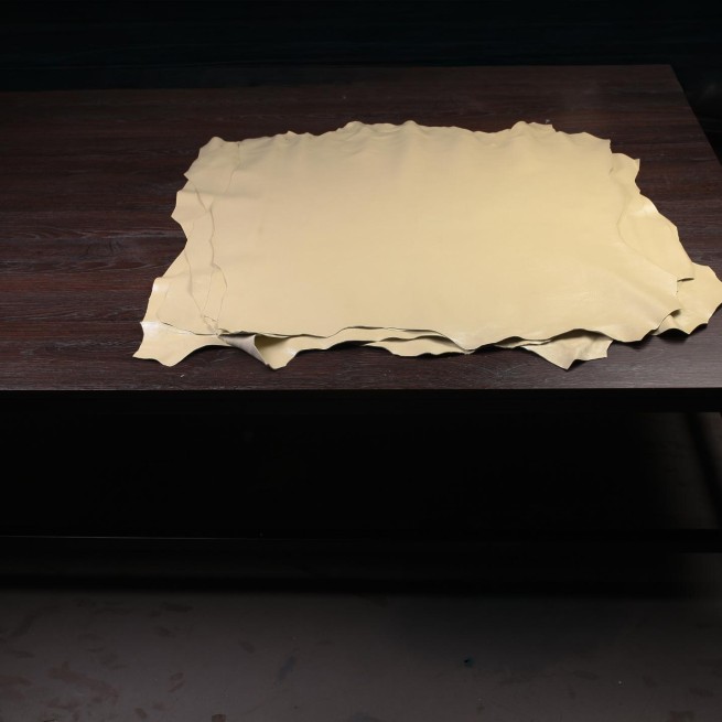 Aligo Group фото