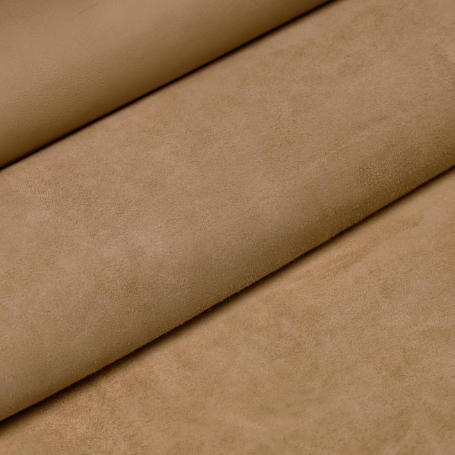 Aligo Group фото