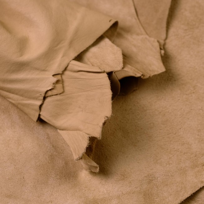 Aligo Group фото