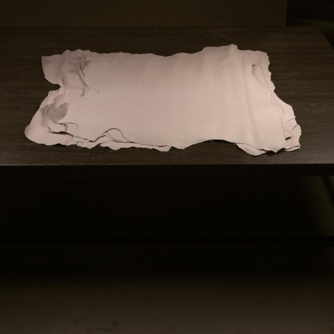 Aligo Group фото