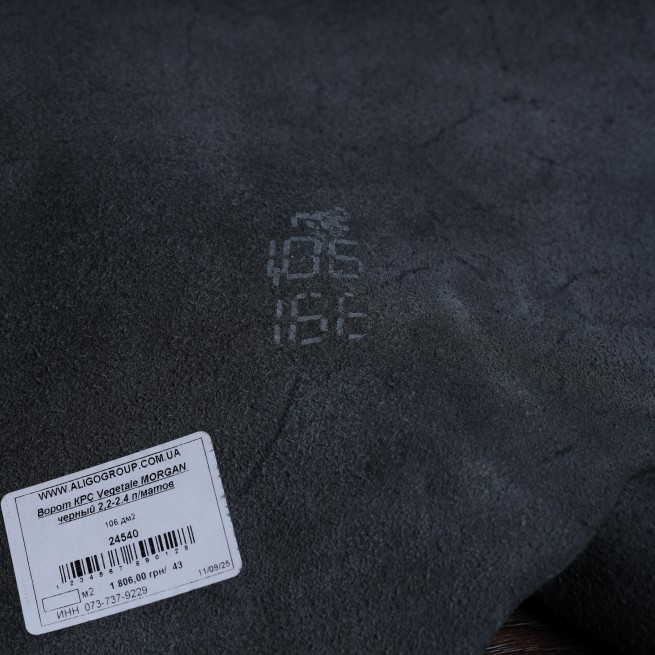 Aligo Group фото