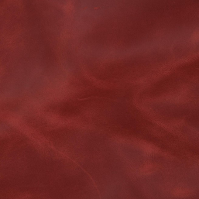 Aligo Group фото