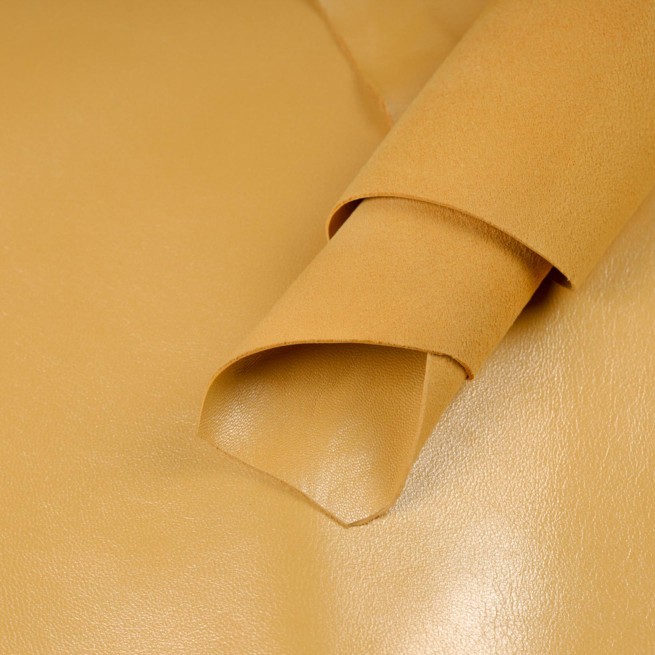 Aligo Group фото