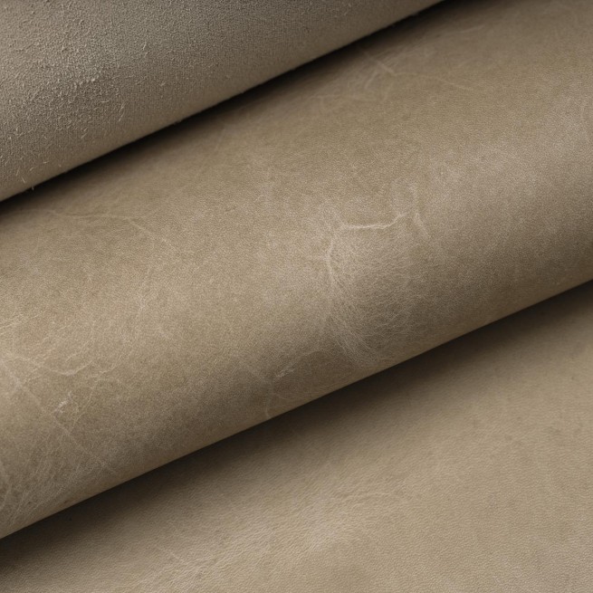 Aligo Group фото