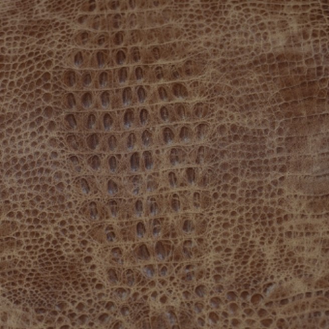 Aligo Group фото