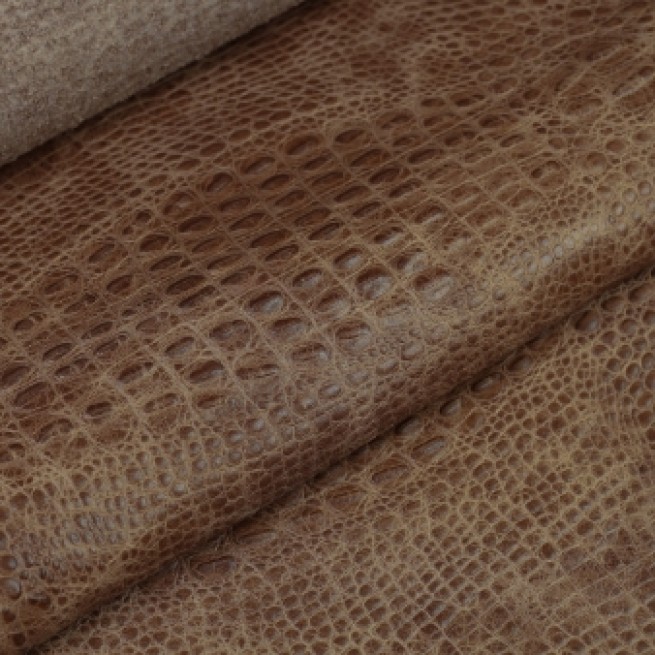 Aligo Group фото