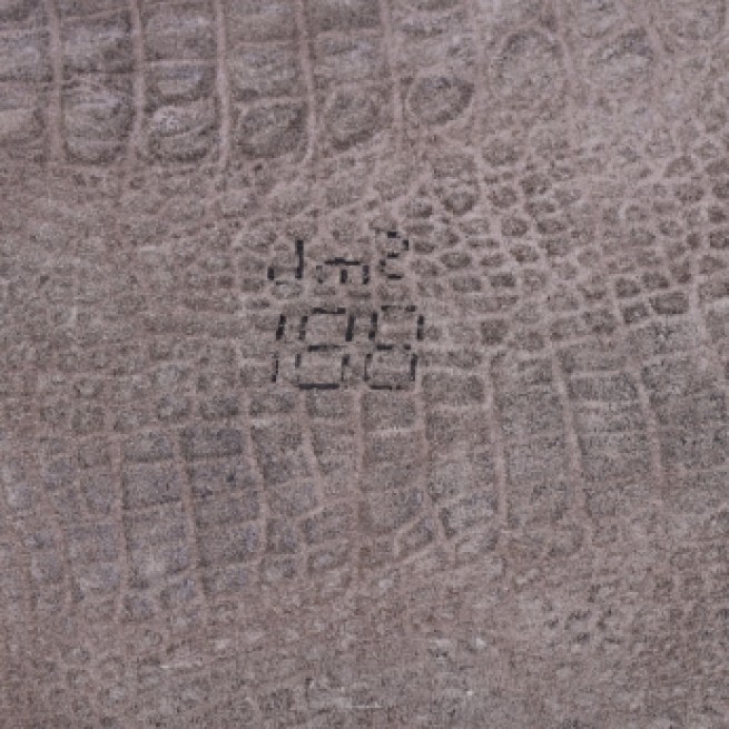 Шкіра ВРХ Крокодил BebiZ сірий 1,0-1,2 Туреччина