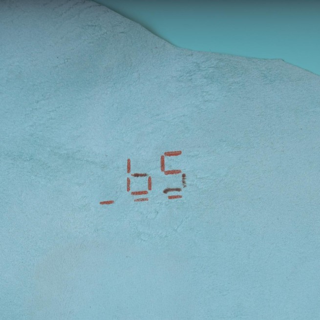 Aligo Group фото