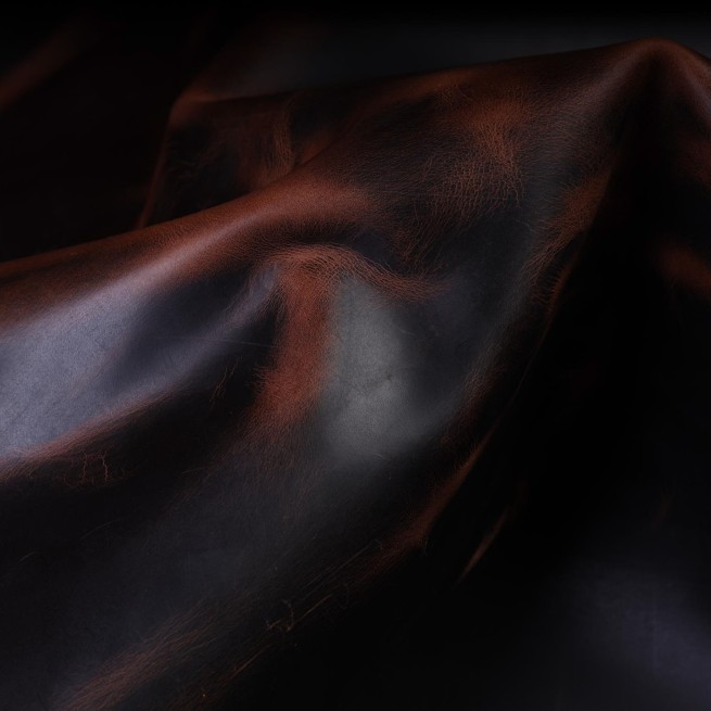 Aligo Group фото