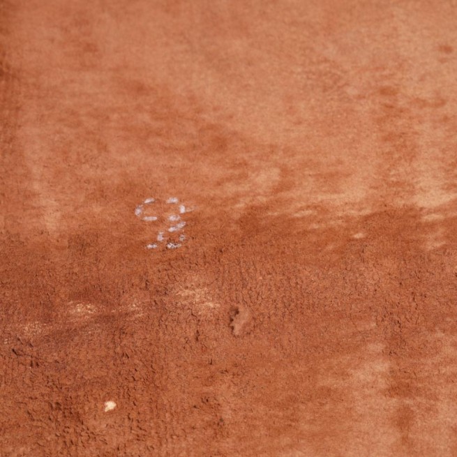 Aligo Group фото