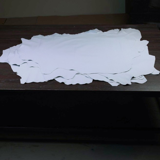 Aligo Group фото