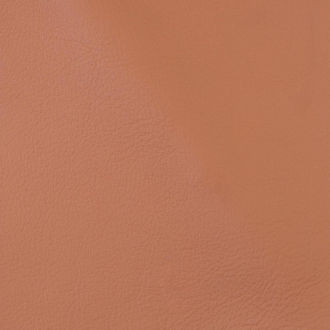 Aligo Group фото