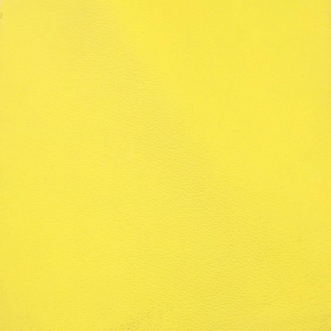 Aligo Group фото