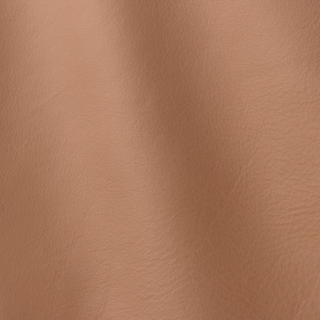 Aligo Group фото