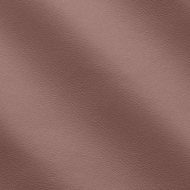 Aligo Group фото