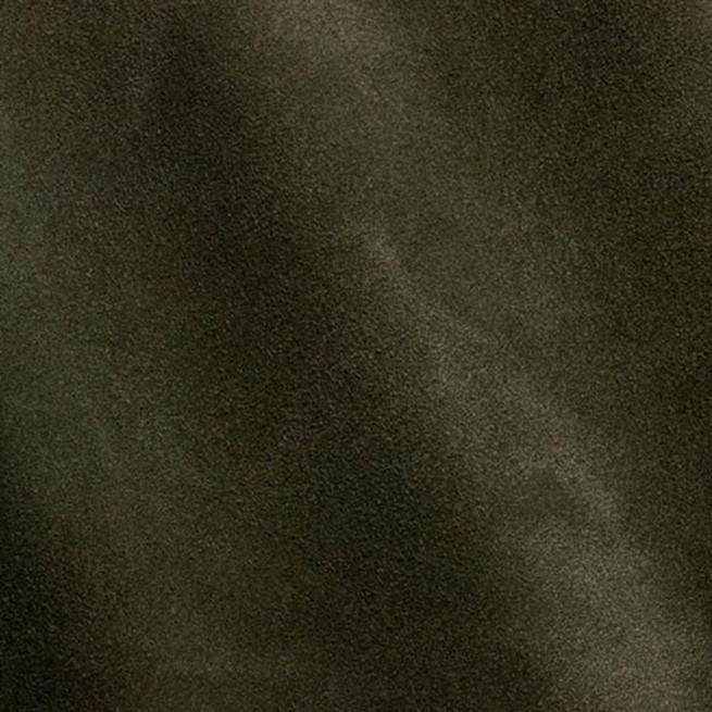 Aligo Group фото