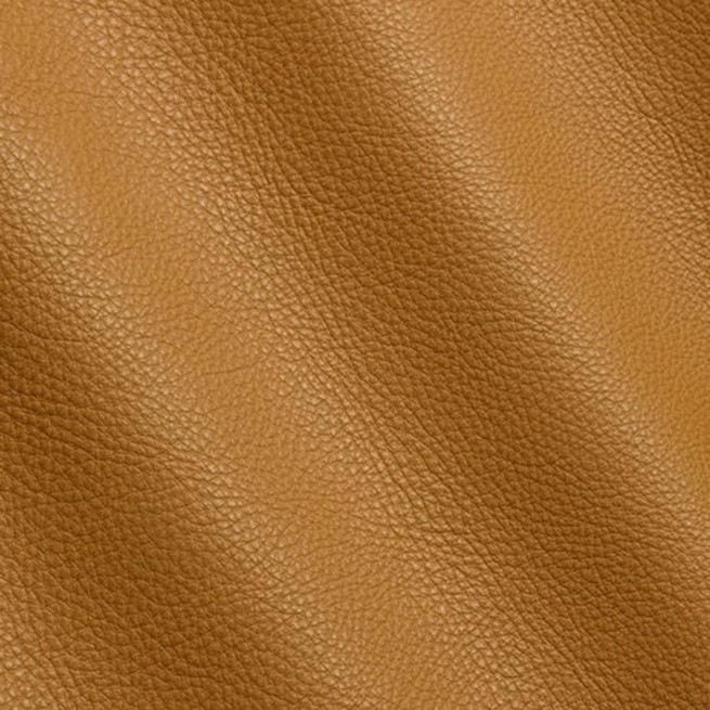 Aligo Group фото