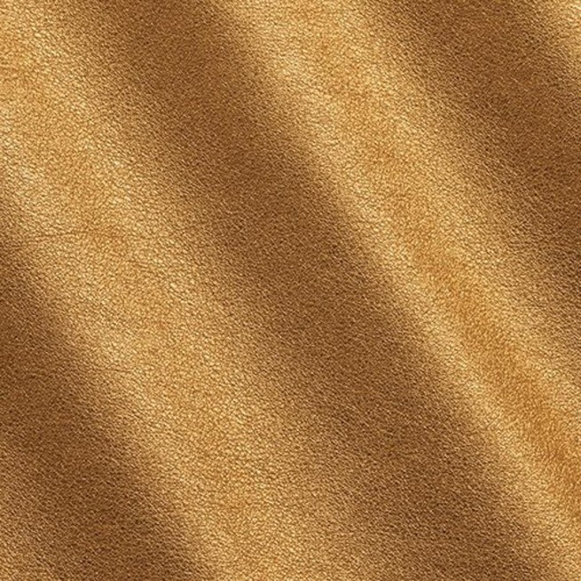 Aligo Group фото