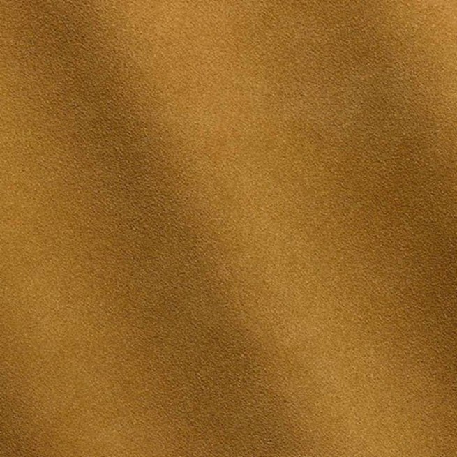 Aligo Group фото