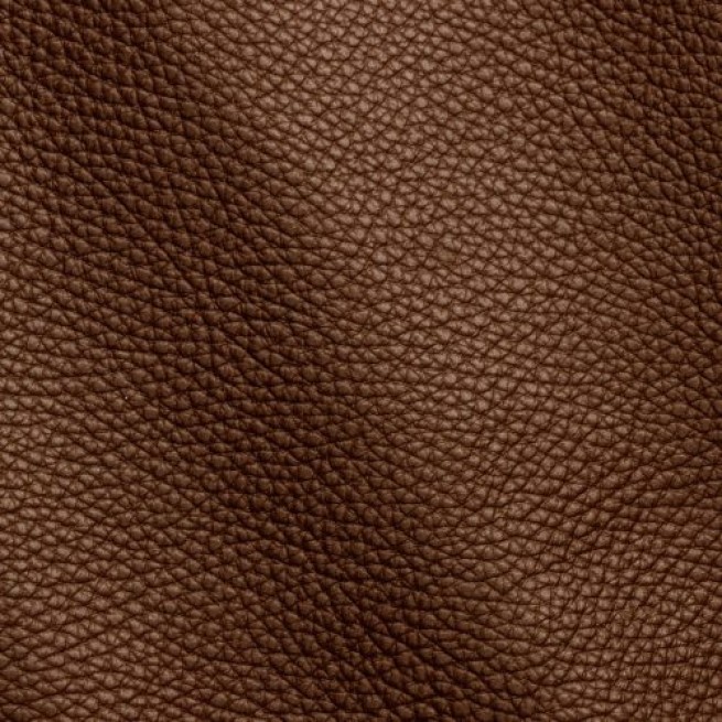 Aligo Group фото