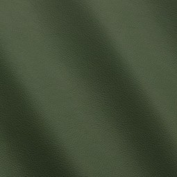 Шкіра меблева LINEA зелений ABETE 0,9-1,1 Італія