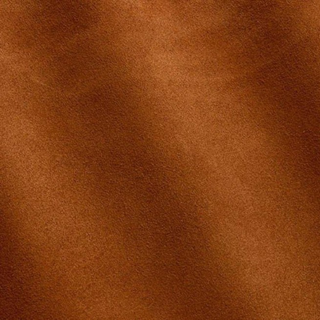 Aligo Group фото