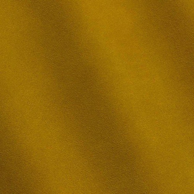 Aligo Group фото