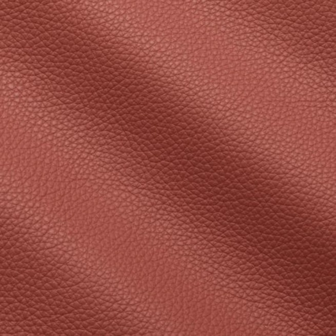 Aligo Group фото