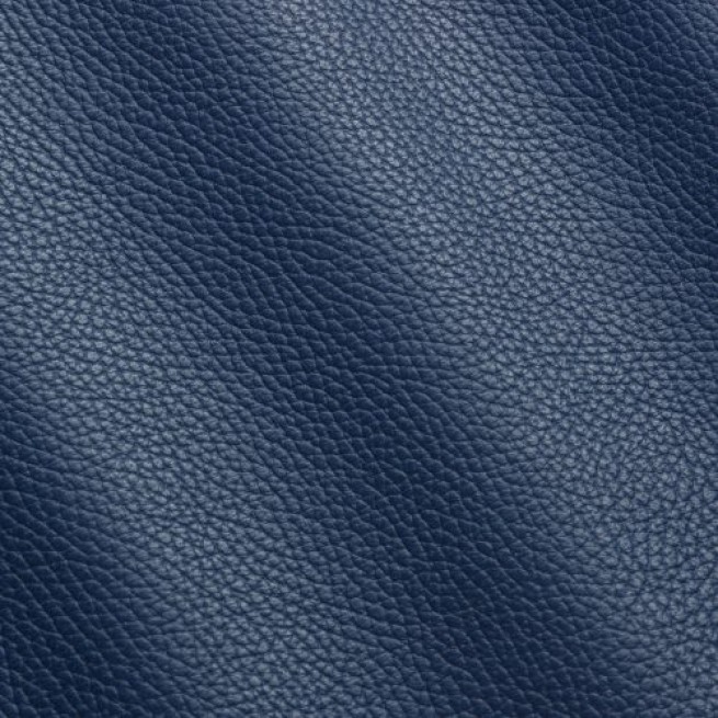 Шкіра ВРХ Флотар ADRIA синій ELECTRIC 1,2-1,4 Італія