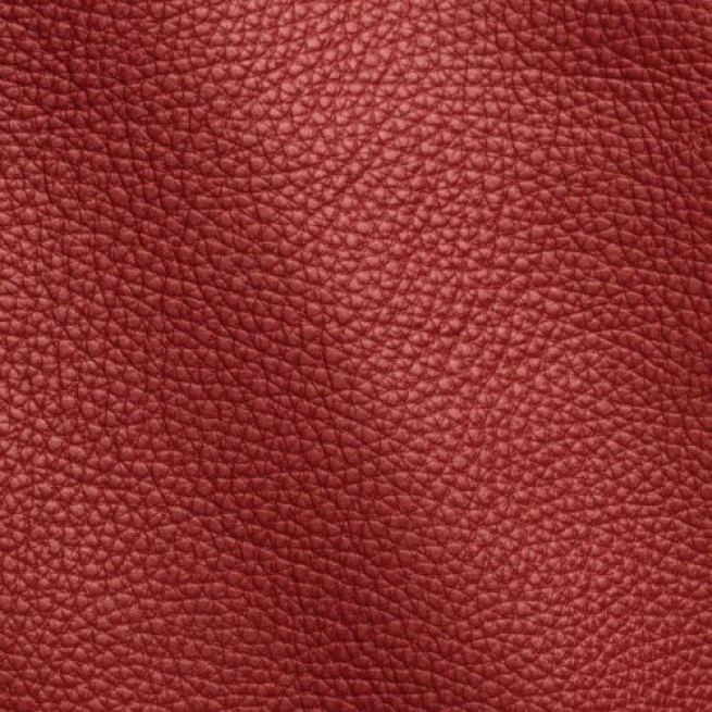 Aligo Group фото