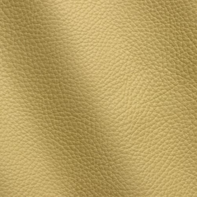 Aligo Group фото