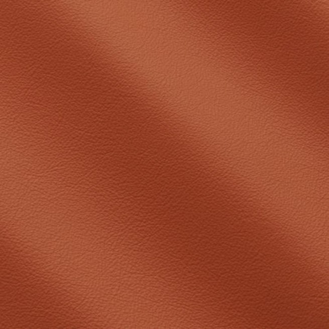 Aligo Group фото