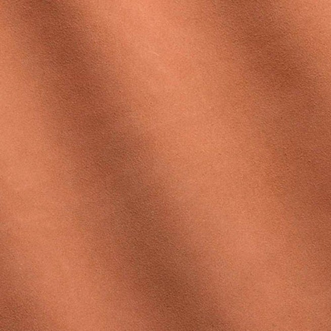 Aligo Group фото