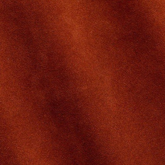 Aligo Group фото