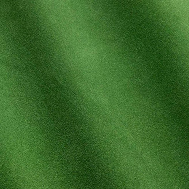 Aligo Group фото