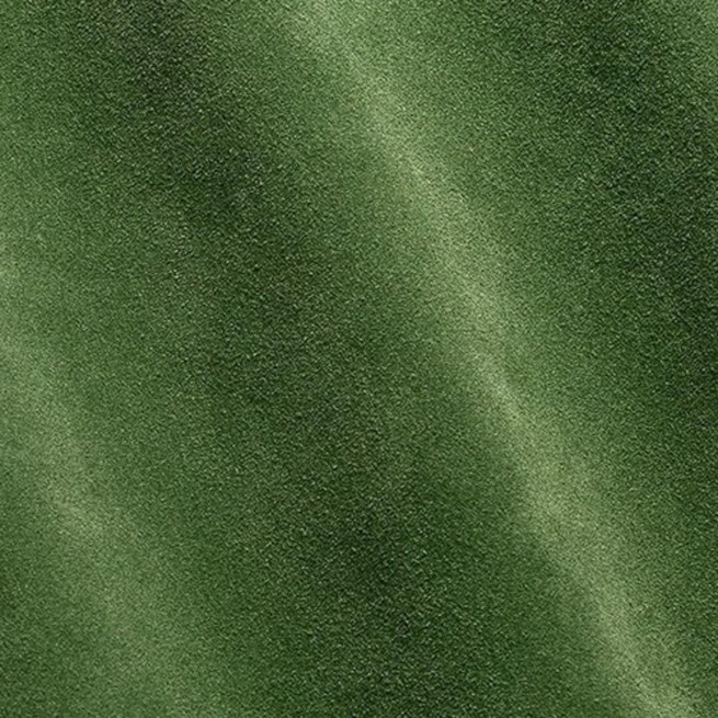 Aligo Group фото