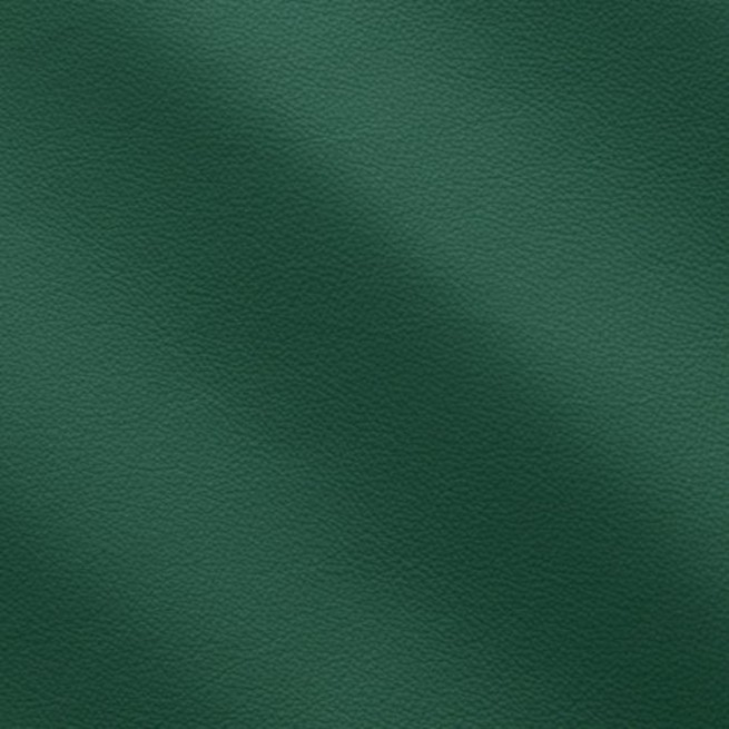 Шкіра меблева LINEA зелений FORESTA 0,9-1,1 Італія