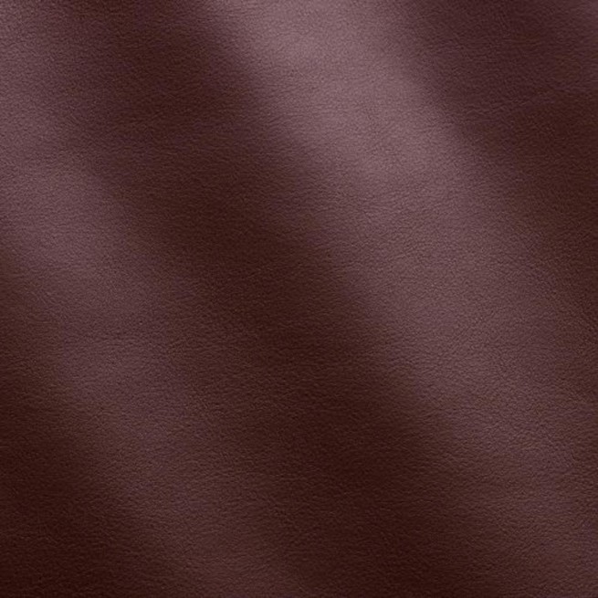 Aligo Group фото