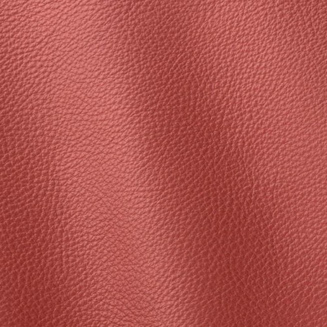 Aligo Group фото