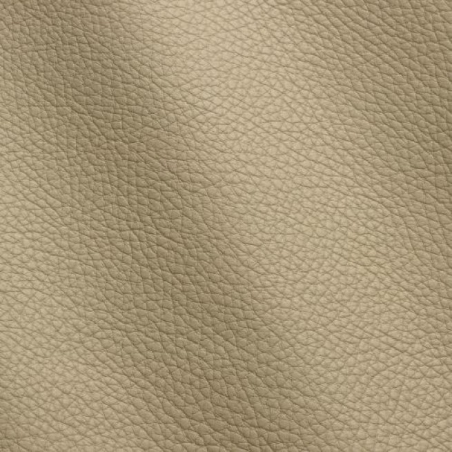 Aligo Group фото