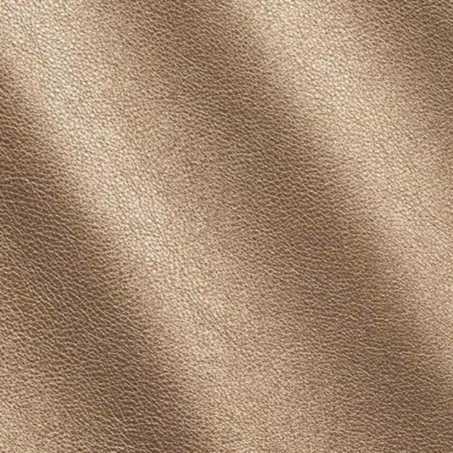 Aligo Group фото