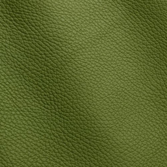 Aligo Group фото