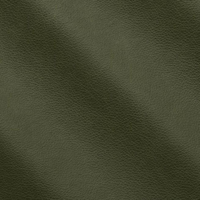 Aligo Group фото