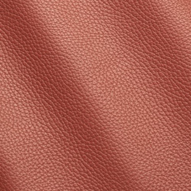 Aligo Group фото