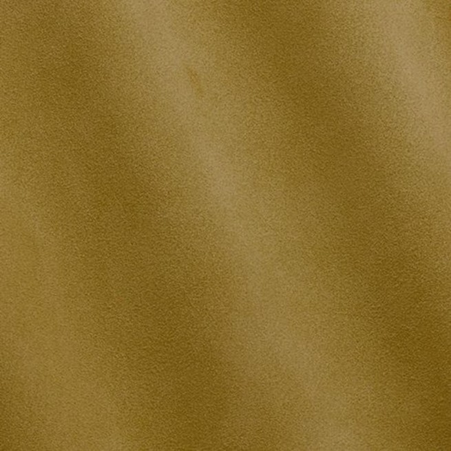 Aligo Group фото