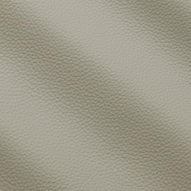 Aligo Group фото