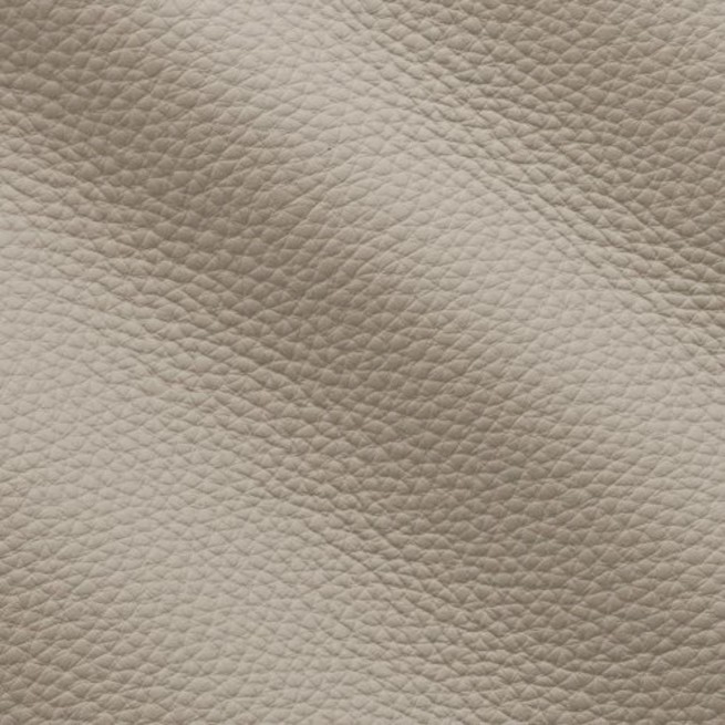 Aligo Group фото