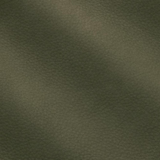 Aligo Group фото